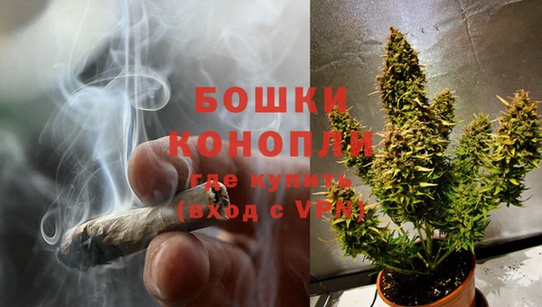 мяу мяу мука Белокуриха