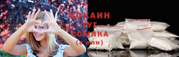 мяу мяу мука Белокуриха