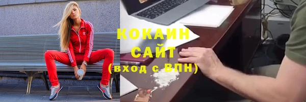 мяу мяу мука Белокуриха