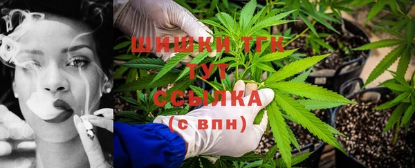 мяу мяу мука Белокуриха