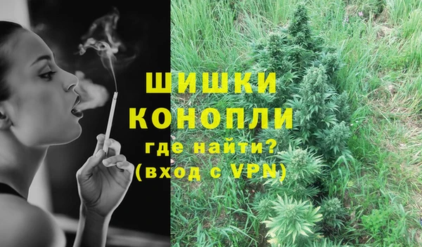 сатива Белоозёрский